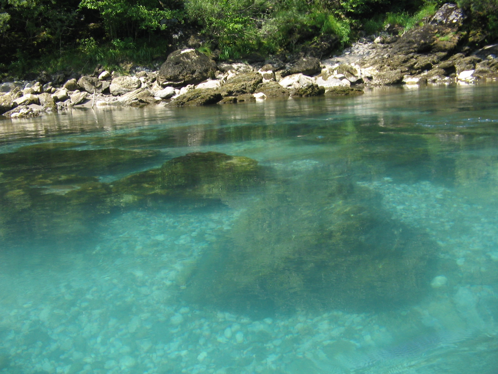 drina%20opet.jpg