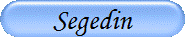 Segedin