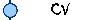 CV