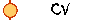 CV