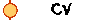 CV