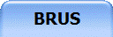 BRUS