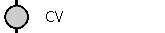    CV