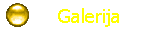 Galerija