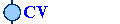 CV