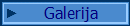 Galerija