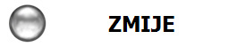 ZMIJE
