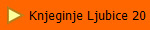 Knjeginje Ljubice 20